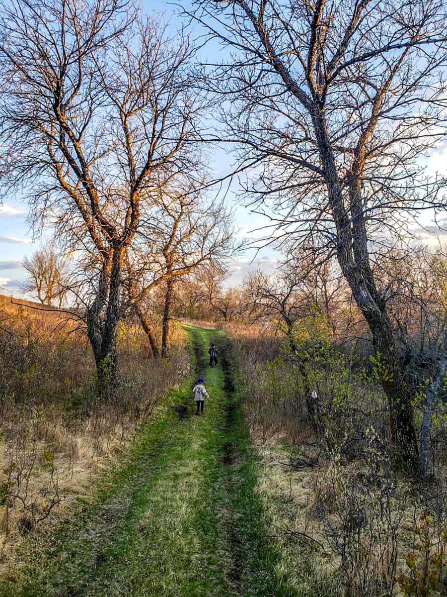 RV Lots for Sale on Buffalo Pound Lake